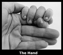 The Hand